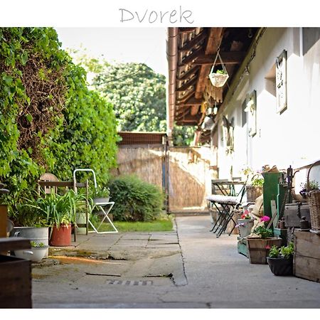 Ubytovani U Trati Moravská Nová Ves Extérieur photo