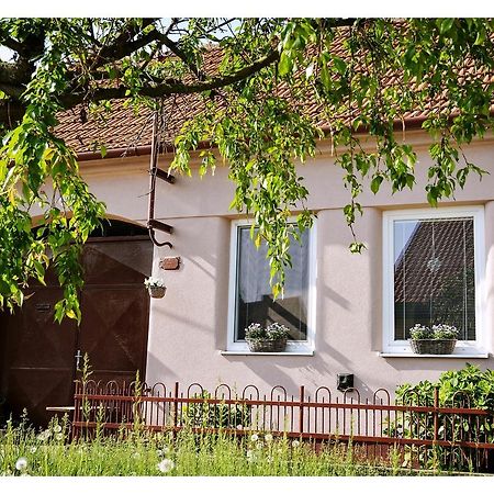 Ubytovani U Trati Moravská Nová Ves Extérieur photo