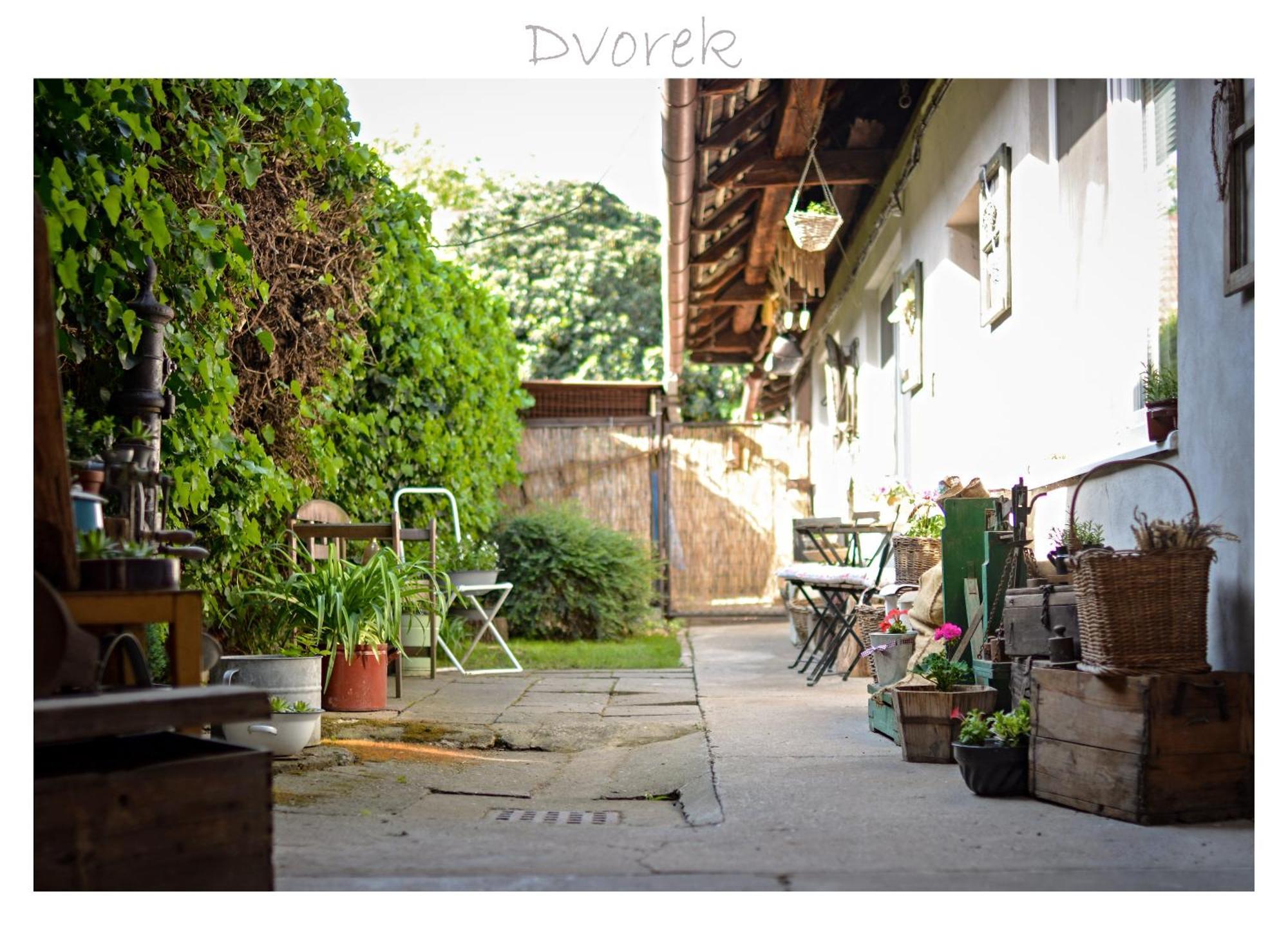 Ubytovani U Trati Moravská Nová Ves Extérieur photo